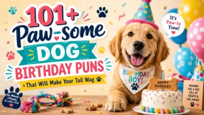 101+ Paw-some [Dog Birthday Puns] That Will Make Your Tail Wag
